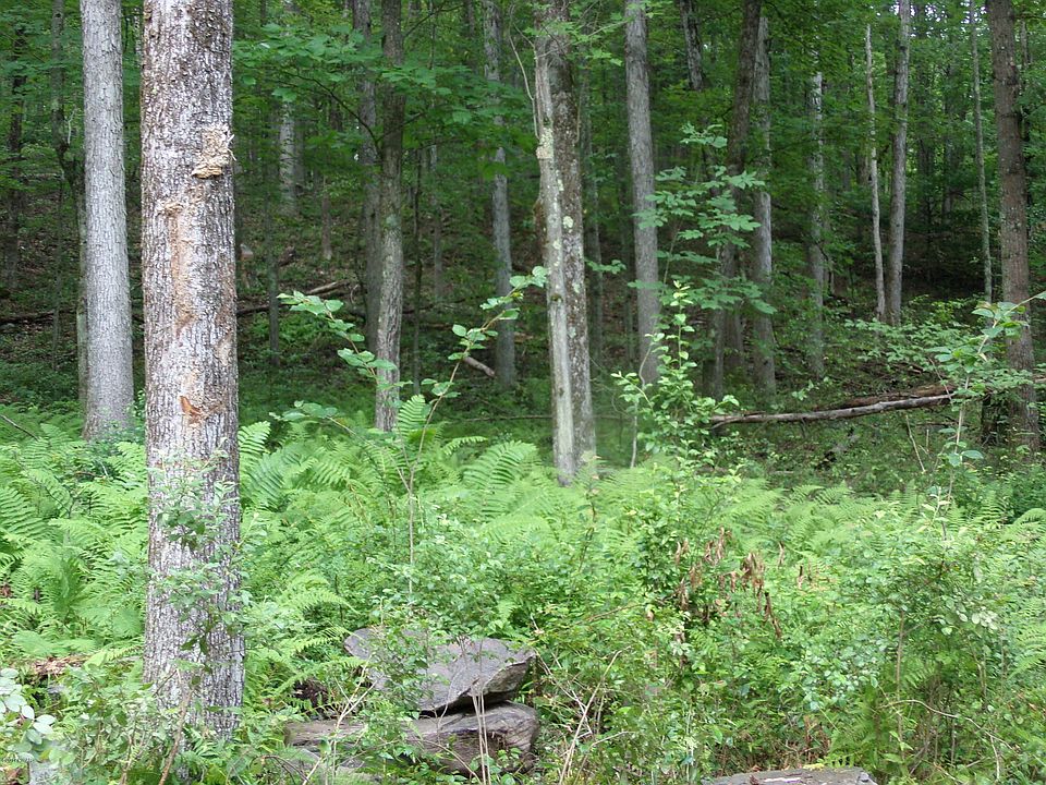 1st image of 121 Cushetunk Dr