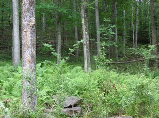 121 Cushetunk Dr, Cochecton, NY 12726