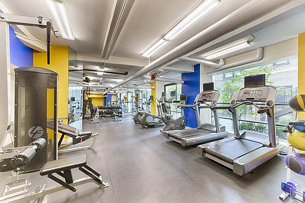 Rented by Halstead Real Estate | media 19