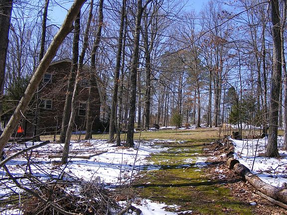 Late winter path through the woods