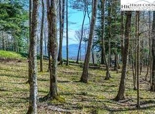 113 Eagle Park Dr, Banner Elk, NC 28604
