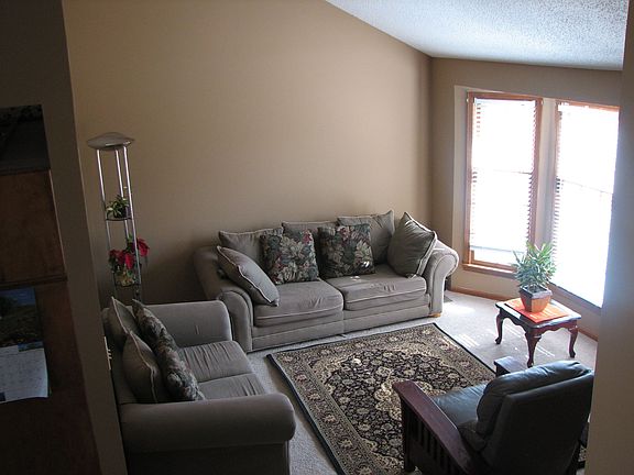 Living Room Vaulted ceiling