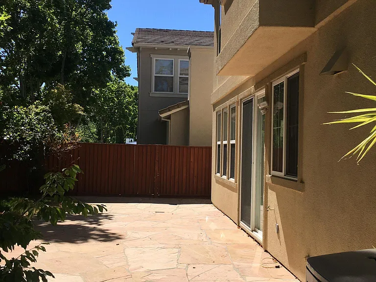 Back yard