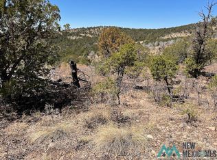 239 Anders Rd, Cloudcroft, NM 88317