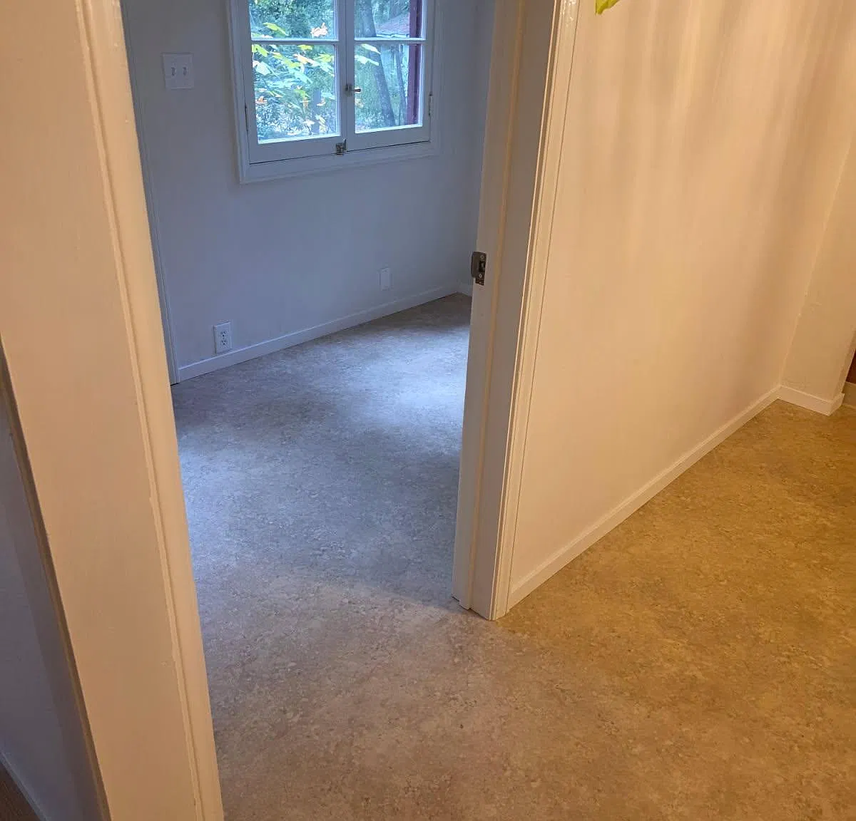 3 bed, $4,300 — Photo 4