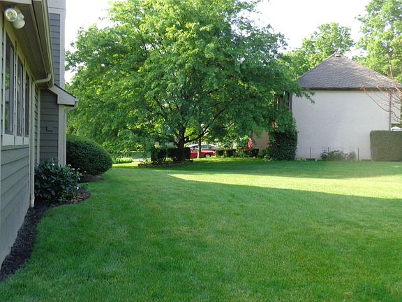 Side yard