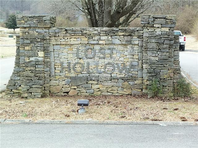 1st image of 0 Lost Hollow Ln Lot 19