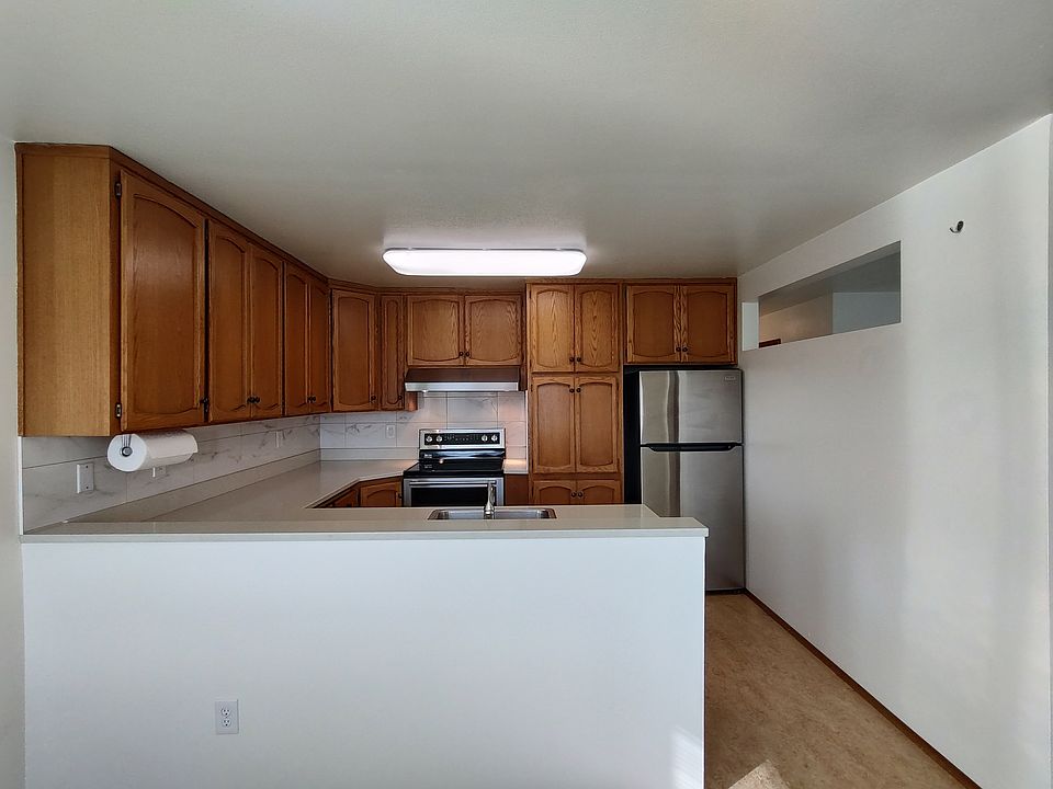Large Kitchen, Amply Storage, Newer Stainless Steel Appliances (Stove/Range, Range Hood, Refrigerator, Dishwasher), Dimmable LED lights. View from dining room.