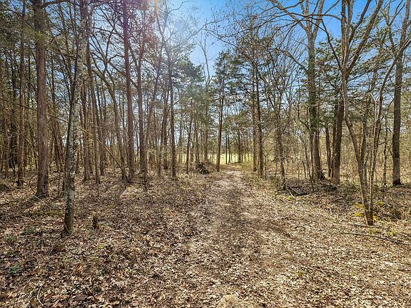 4th image of 7 Paschal Rd