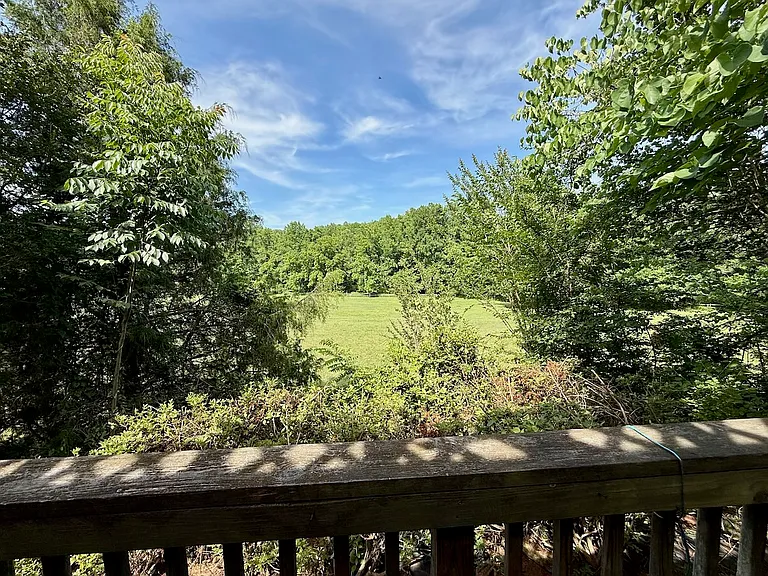 181 Brier Rose Ln — Photo 17