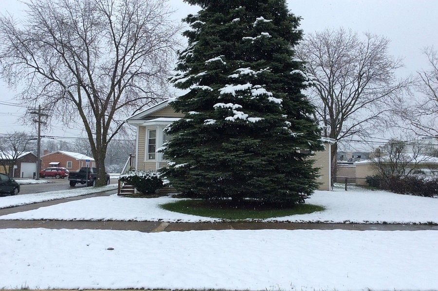 1st image of 4263 Kolze Ave