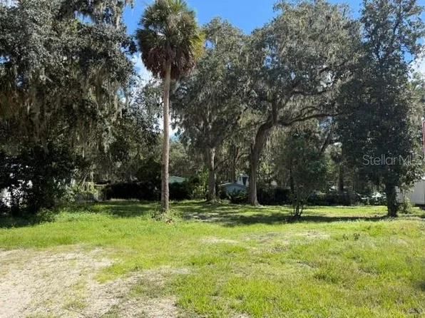 3687 CR 405DW LOT 136, LAKE PANASOFFKEE, FL 33538