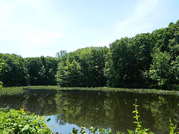 2nd image of 1957 County Road 1070 N