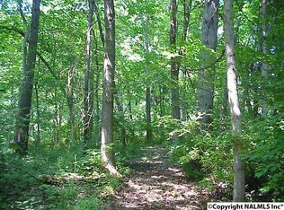 Friendship Rd, Rainbow City, AL 35906