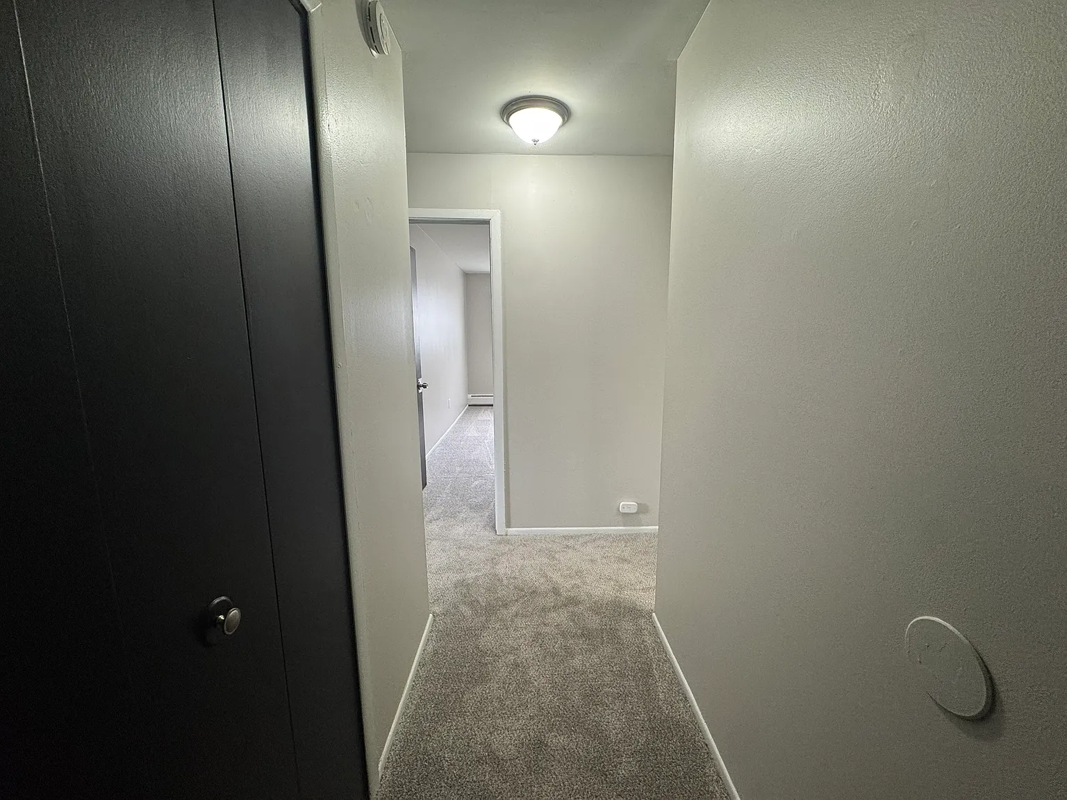 249 Chestnut Apartments - Unit 106 — Photo 2