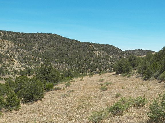 5th image of 11967 County Road 43.6