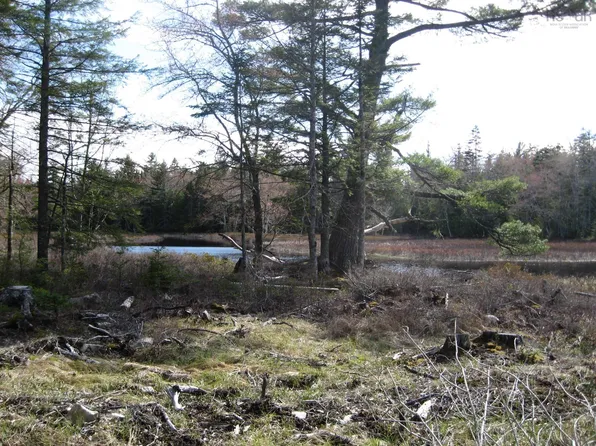 77 Bear Cove Rd, Queens, NS B0T 1E0