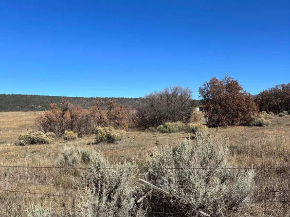 County Road 115, Canjilon, NM 87515