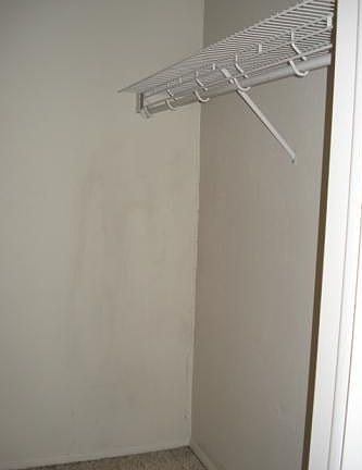 Master Walk in Closet