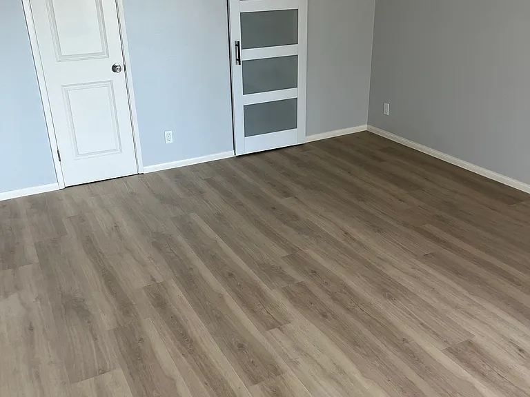 Primary BR closet and door to on-suite bathroom