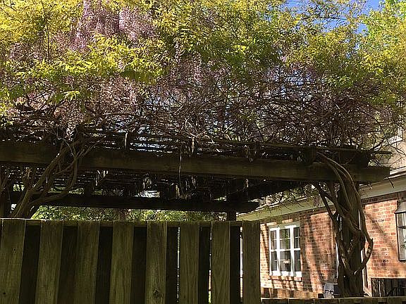 5th image of 601 Yale Ave