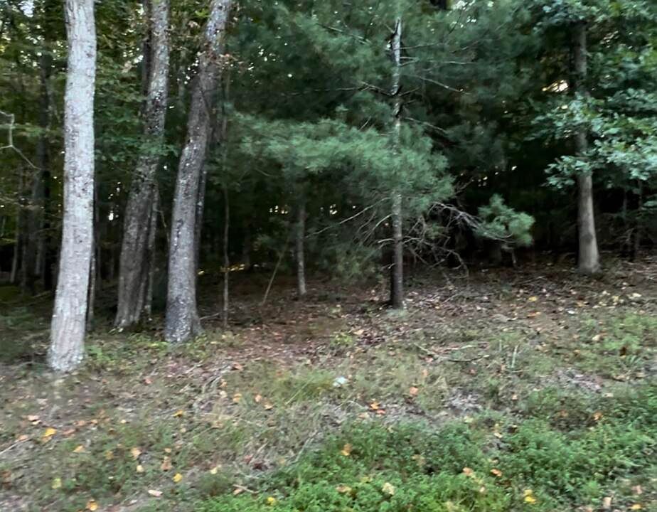 2nd image of 163 Lynhurst Dr
