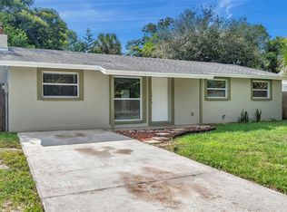 6430 Willow Wood Ln, Tampa, FL 33634
