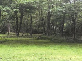 Pine Tree Rd #824, Pocono Summit, PA 18346