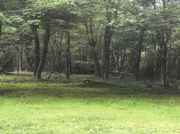 Pine Tree Rd #824, Pocono Summit, PA 18346