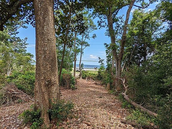 3rd image of LOT 34&28 W State Highway 20
