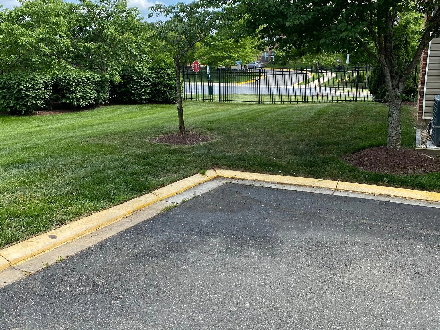 Lanier Ave, Suitland — Photo 2