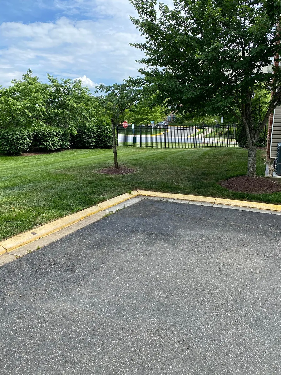 Back of driveway - Lanier Ave