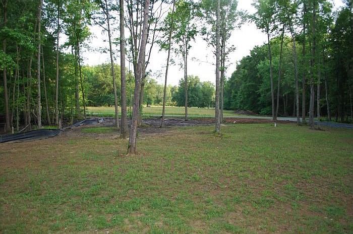 Front yard