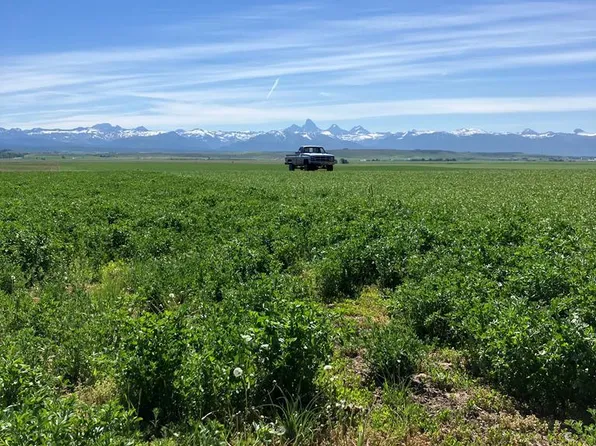 N 4485 W #9500-S, Felt, ID 83424