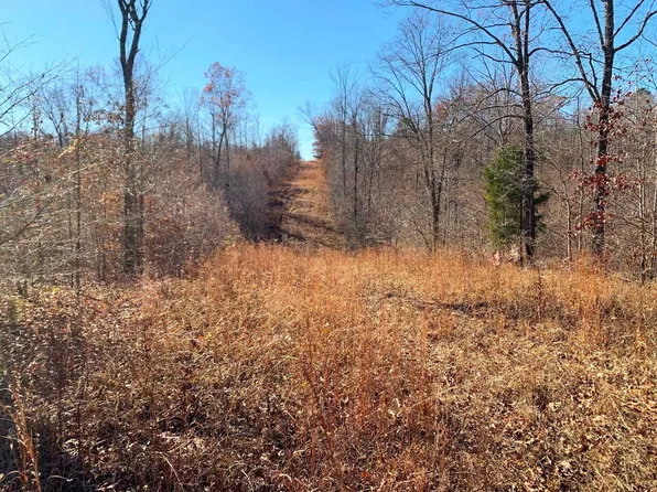 Vernie Kirk Rd, Pocahontas, TN 38061