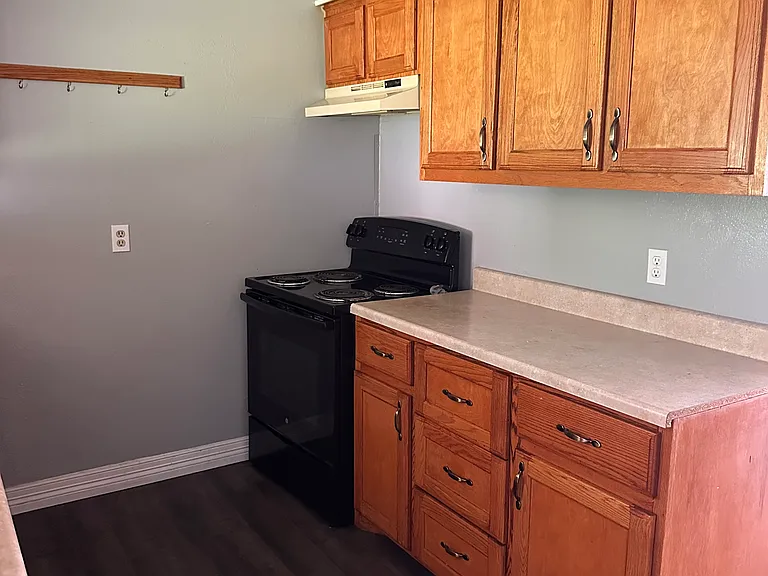 1214 Wolfe City Dr — Photo 8
