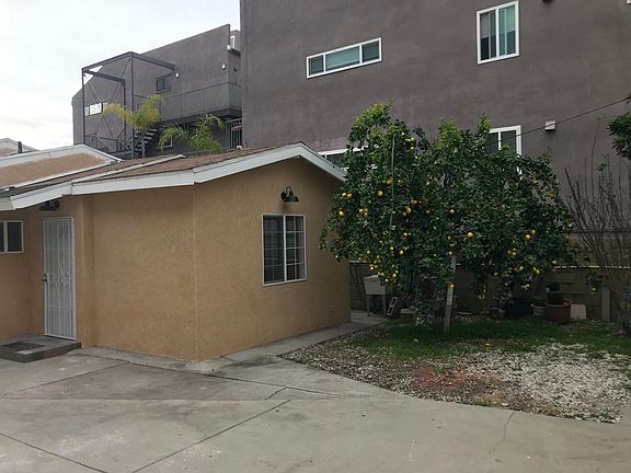 Rear parking / fruit trees