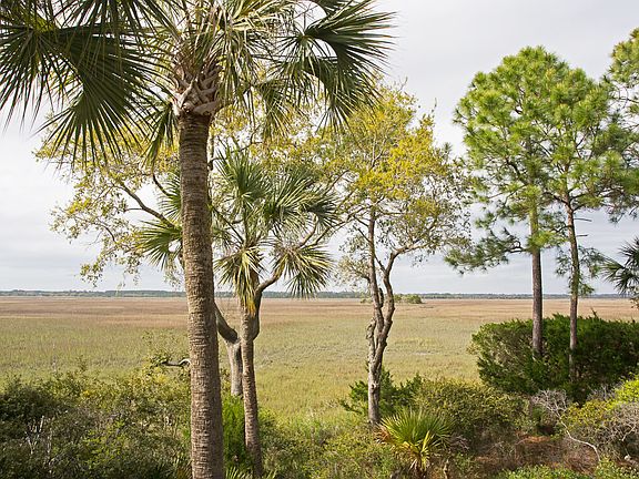 5th image of 126 Spartina Ct