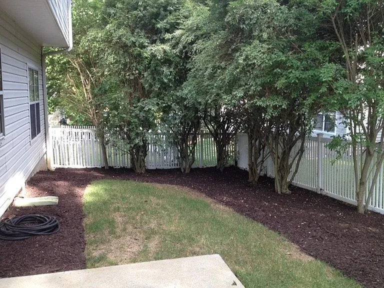 fenced back yard