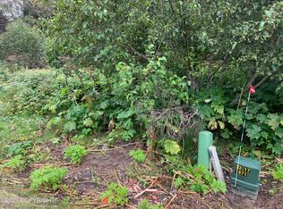 301 E Danview Ave, Homer, AK 99603