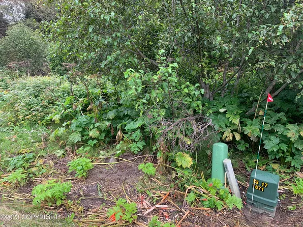 301 E Danview Ave, Homer, AK 99603