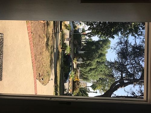 4th image of 1803 Andreo Ave
