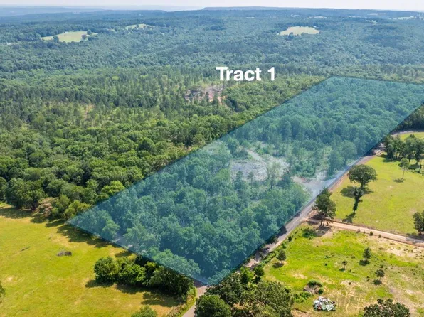 1 Harmony Mountain Rd, Clinton, AR 72031