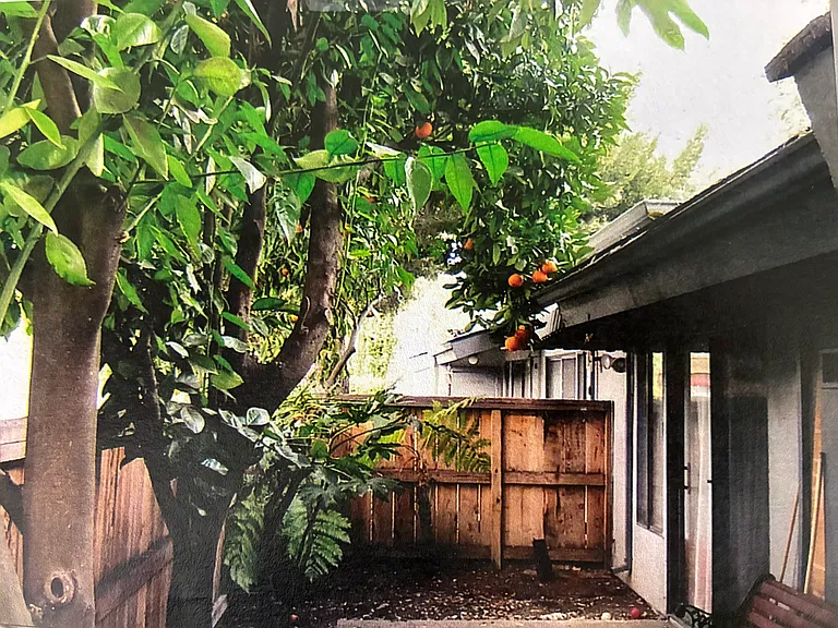 3450 W Benjamin Holt Dr — Photo 7