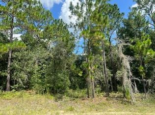 99 W Goldcoast Pl #13, Dunnellon, FL 34434