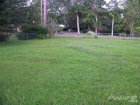 Yard View