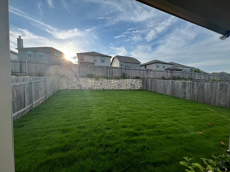 Backyard