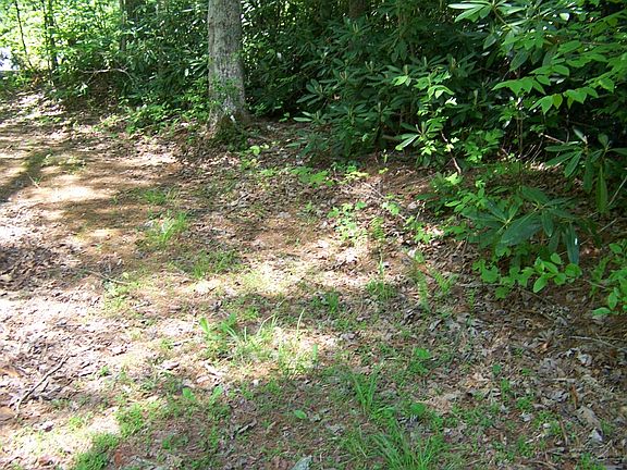 2nd image of 485 Wandering Walk Rd