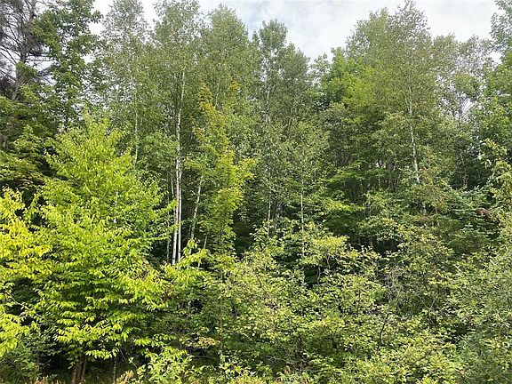2nd image of ON Maple Ridge Road