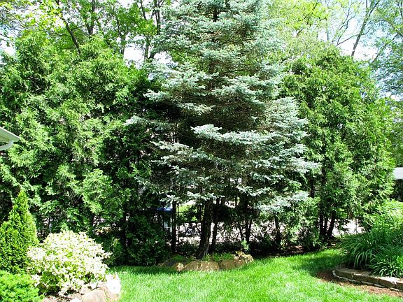 2nd image of 10674 Wolverine Dr